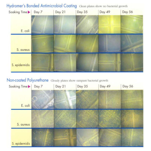 Antimicrobial coatings bacterial colonization testing Hydromer Bonded Antimicrobial Coating vs non-coated polyurethane.
