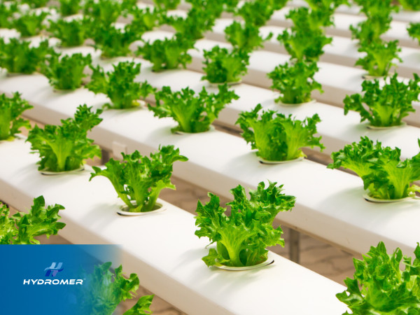Hydrogels are being used in agricultural applications, such as hydroponics.